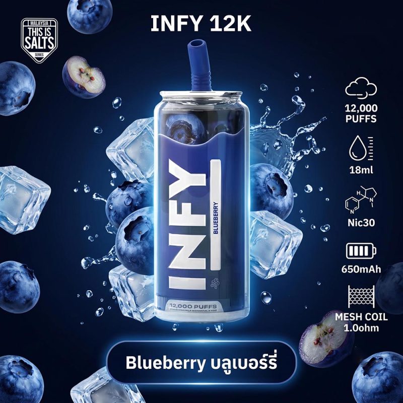 INFY 12000 Puffs (INFY 12K) by THIS IS SALTS พอตใช้แล้วทิ้ง 12,000 คำ